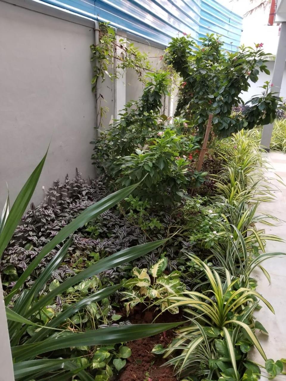 Berty'S Cottage Jaffna Exterior foto
