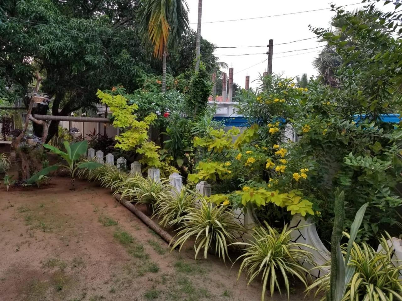 Berty'S Cottage Jaffna Exterior foto