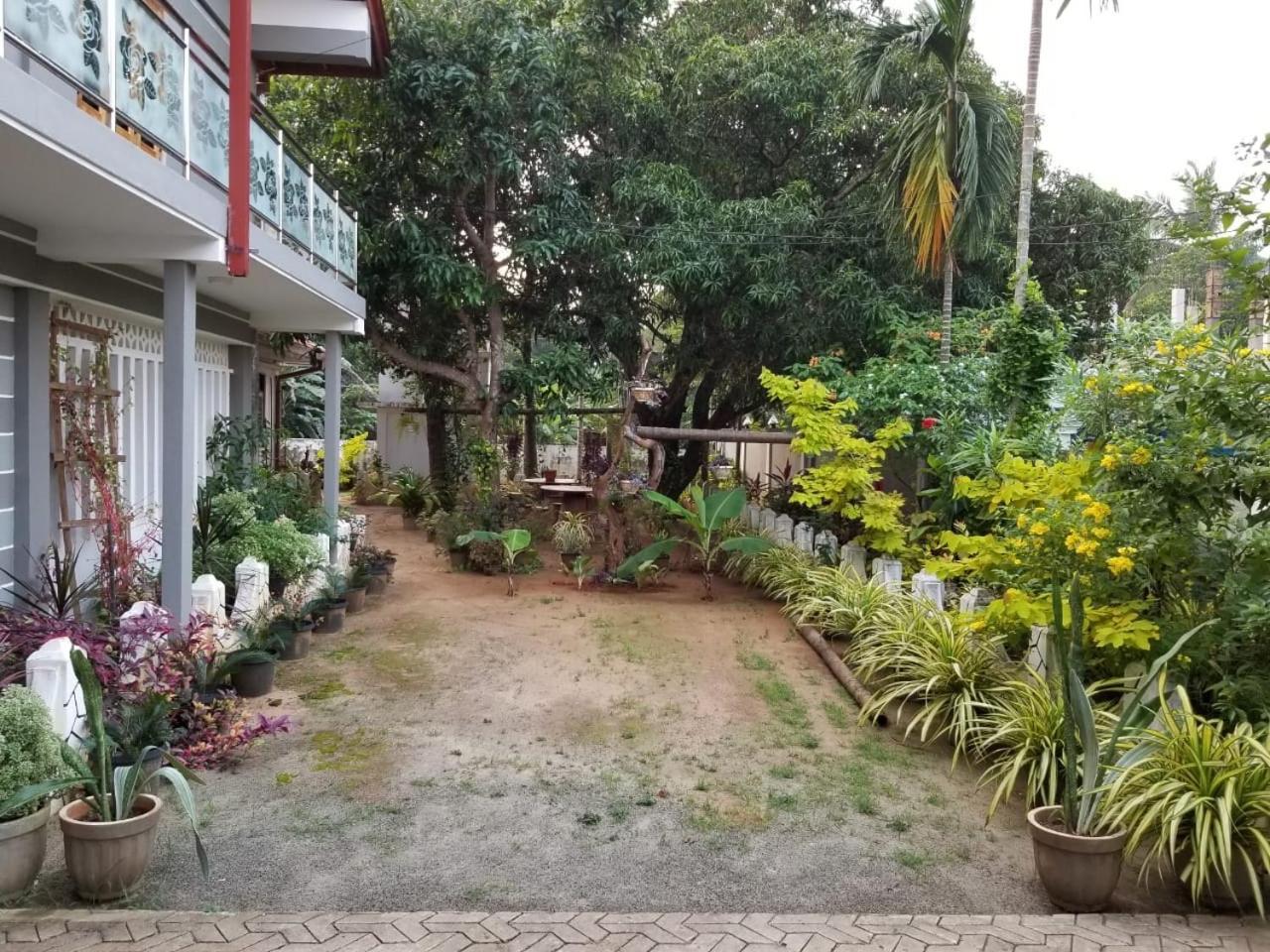 Berty'S Cottage Jaffna Exterior foto